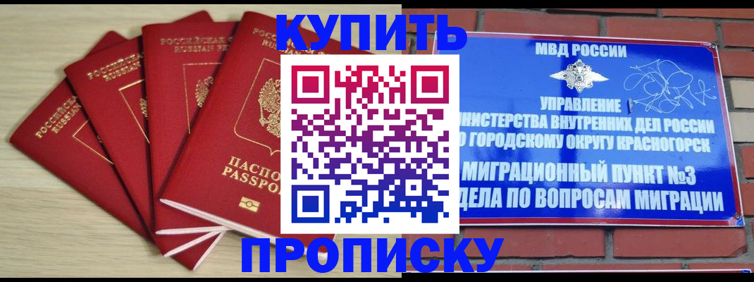 временная регистрация для всех в Камышине